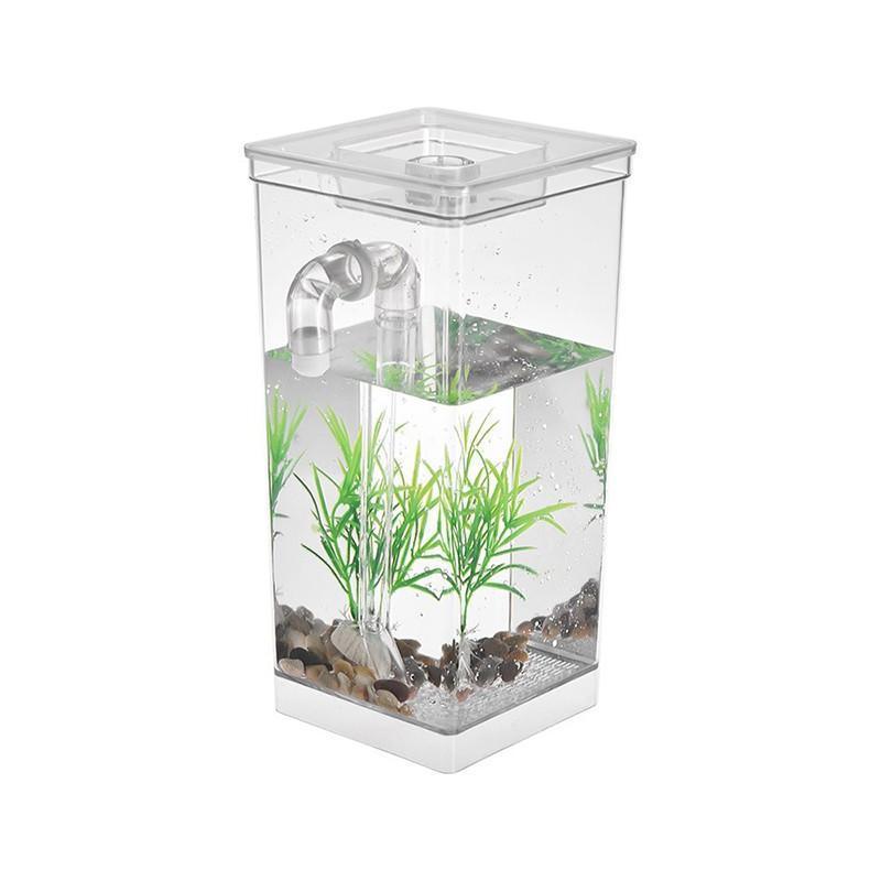 Self shop cleaning aquarium