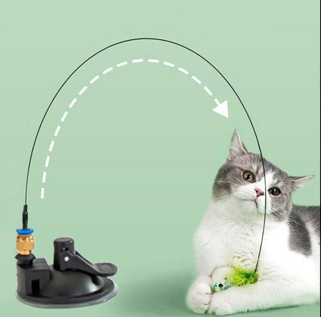 Unleash the Purr-fect Playtime: Discover Our Cat Interactive Toys Collection