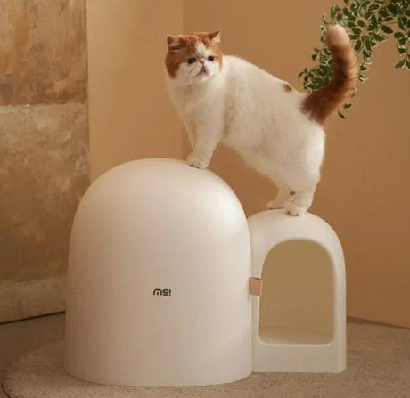 Understanding Cat Litter Boxes: A Comprehensive Guide