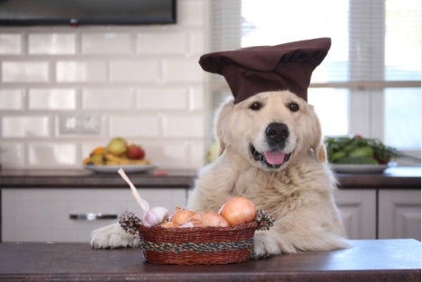 A dog wearing a chef's hat is sitting next to a basket of onions