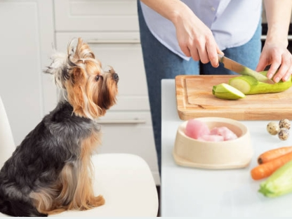 A person preparing food on a cutting board with a zucchini, while a dog watches.