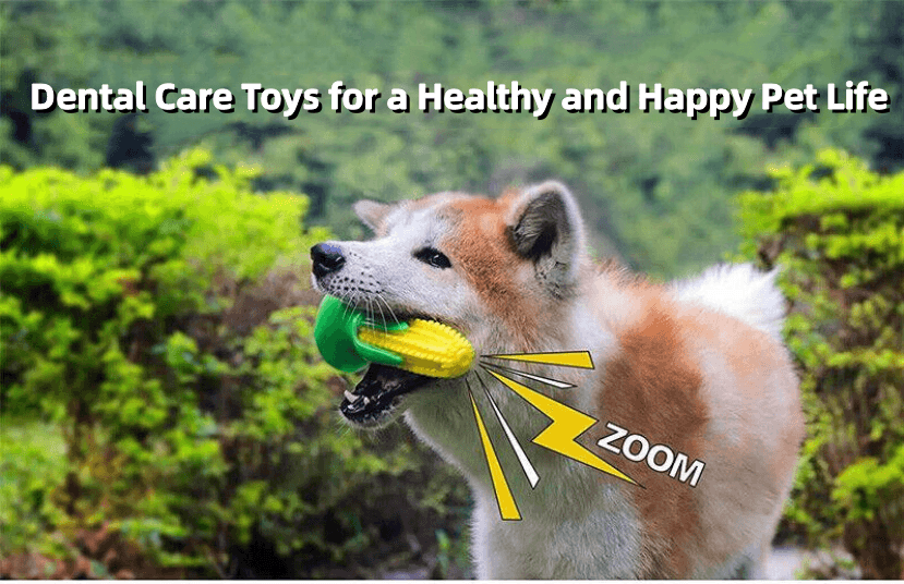 Multi-functional Dental Care Toys for a Healthy and Happy Pet Life