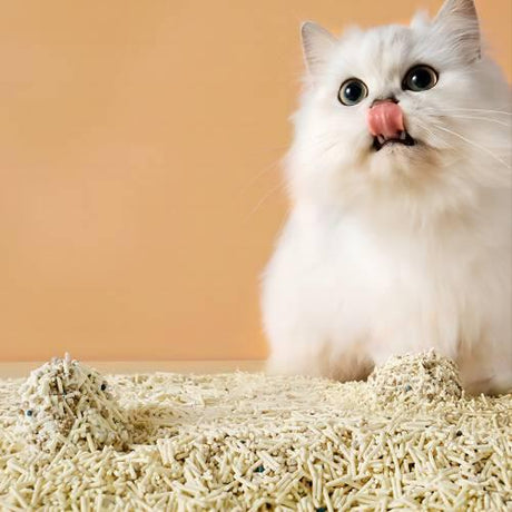 Discover the Ultimate Premium Cat Litter: Dust-Free, Odor-Eliminating and Non-Stick