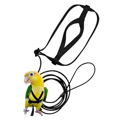 Bird Harnesses & Leads