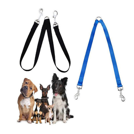 Dog Wearables & Accessories