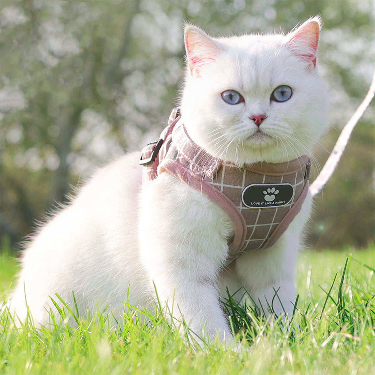 Adjustable Mesh Pet Vest Harness & Leash Cat Dog Kitten Walk Collar