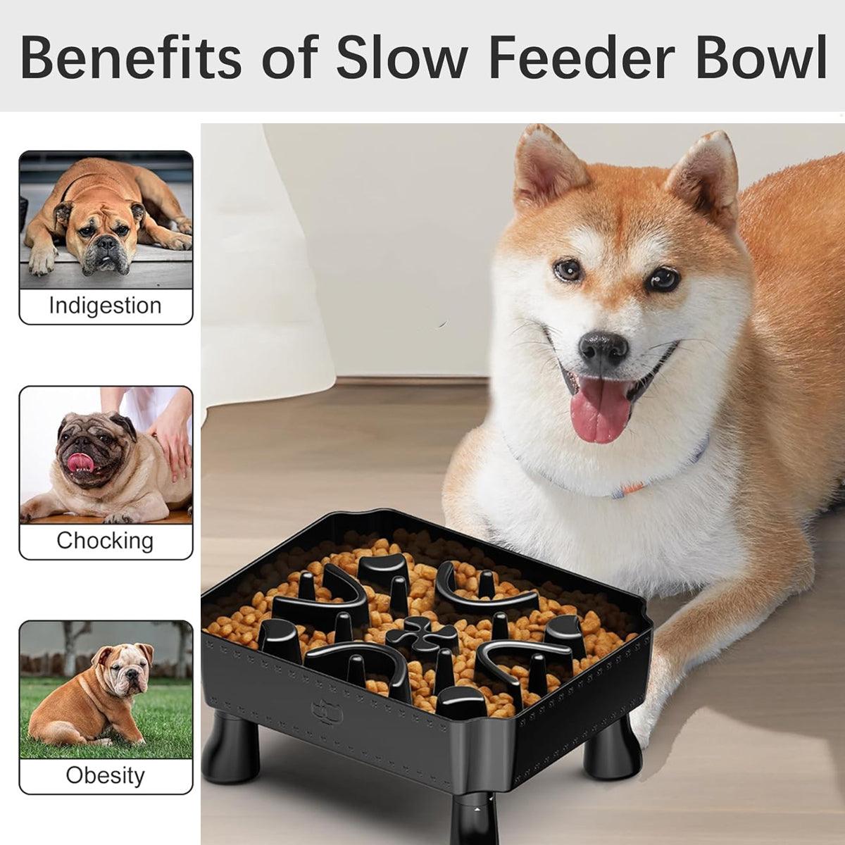 Elevated Slow Feeder Bowl for Pets Large Capacity & Anti-Slip Design