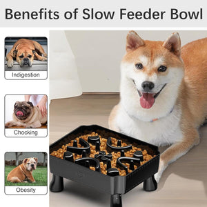 Elevated Slow Feeder Bowl for Pets Large Capacity & Anti-Slip Design