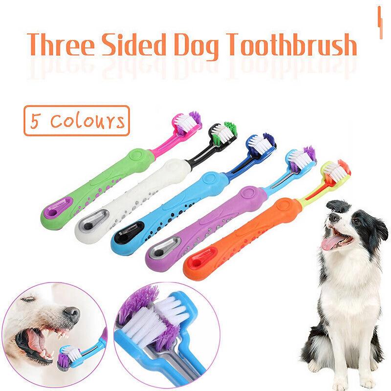 Three Sided Dog Toothbrush 5 Colours