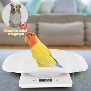 10KG LCD Digital Pet Scales