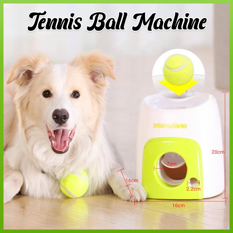 Automatic Ball Roll Out Launcher Pet Dog Machine Toys Interactive Tennis Thrower