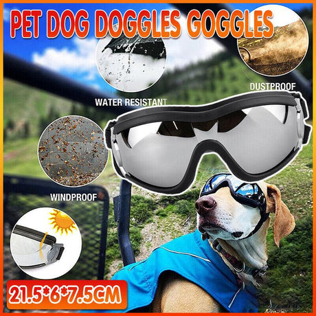 Stylish and Protective Dog Goggles for Pet Eye Safety