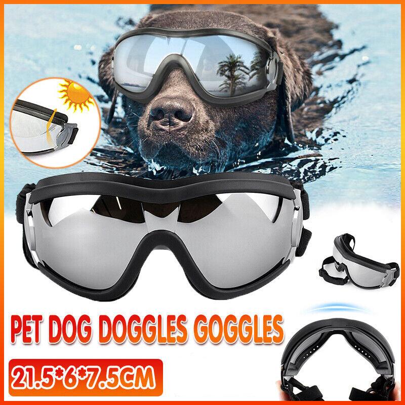 Stylish and Protective Dog Goggles for Pet Eye Safety