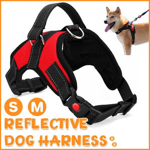 Front Range Dog Vest Harness - Comfort and Control for Your Dog