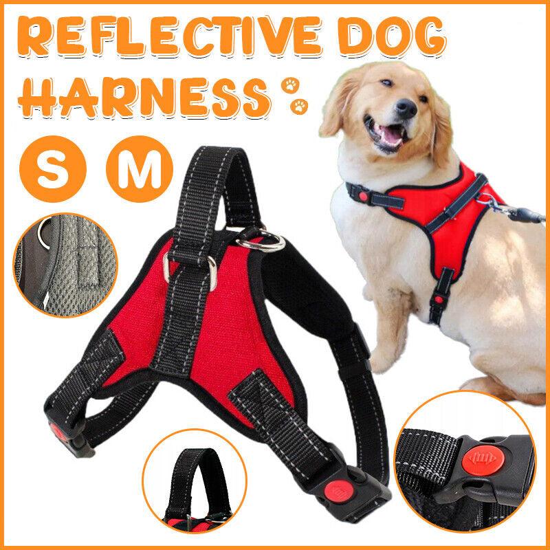 Front Range Dog Vest Harness - Comfort and Control for Your Dog