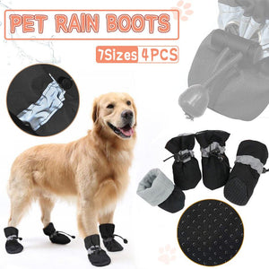 Dog Raincoats and Rain Boots