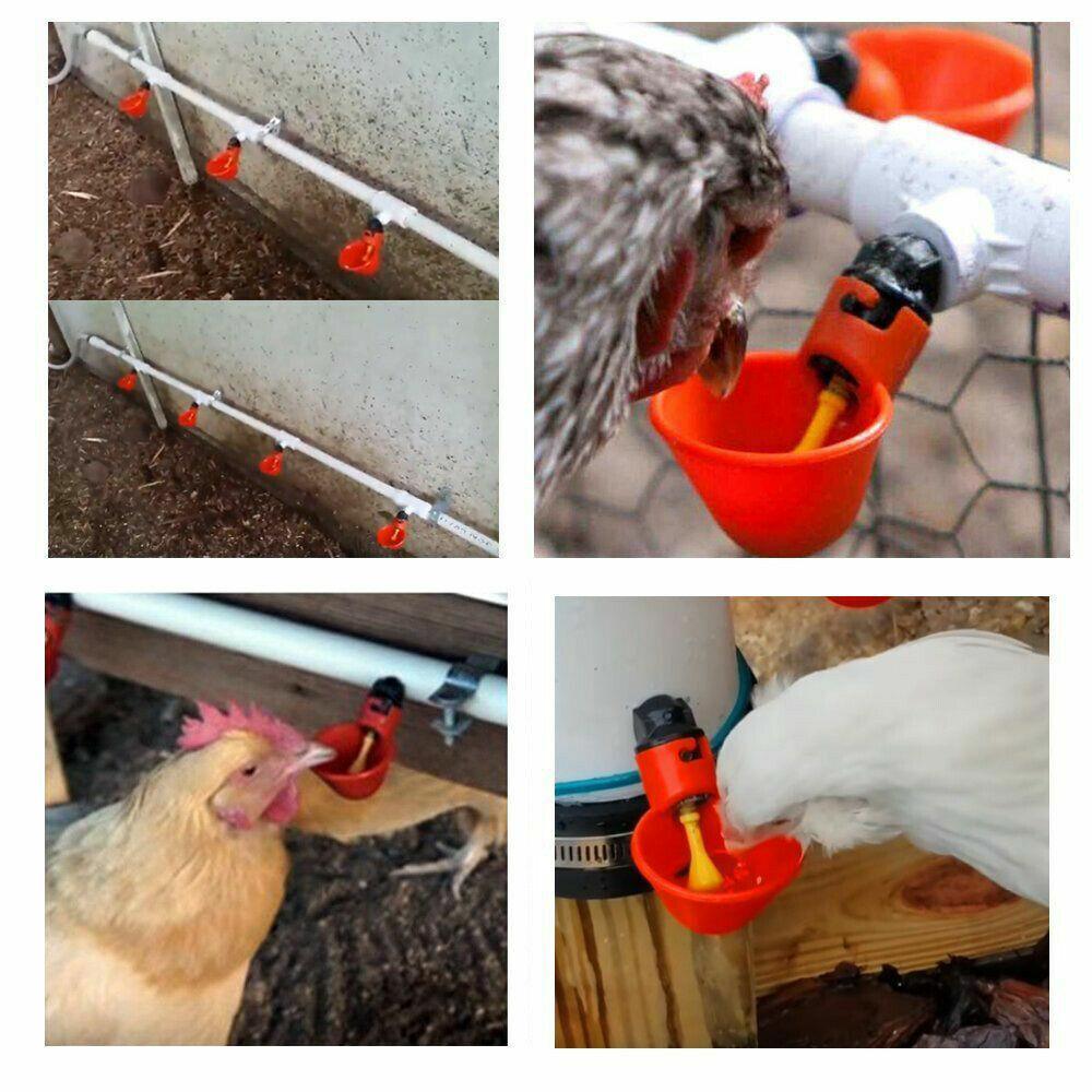 10 pcs Automatic Water Feeder For Chickens and Poultry