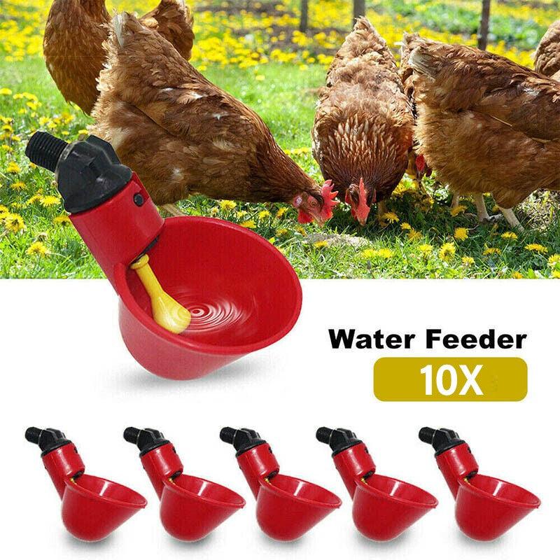 10 pcs Automatic Water Feeder For Chickens and Poultry