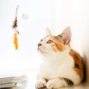 12pcs Interactive Cat Toy Feather Teaser Rod