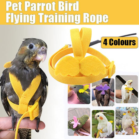 Adjustable Bird Rope harness for safe bird training and outdoor activities