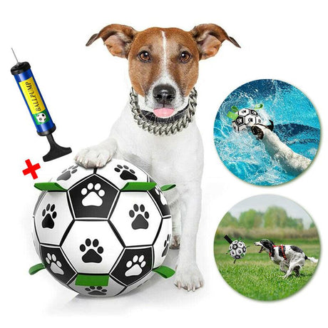 Dog happily playing with an Interactive Dog Soccer Ball outdoors