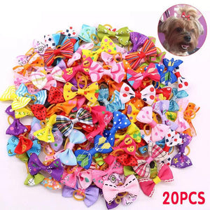 Assorted Dog Hair Bows