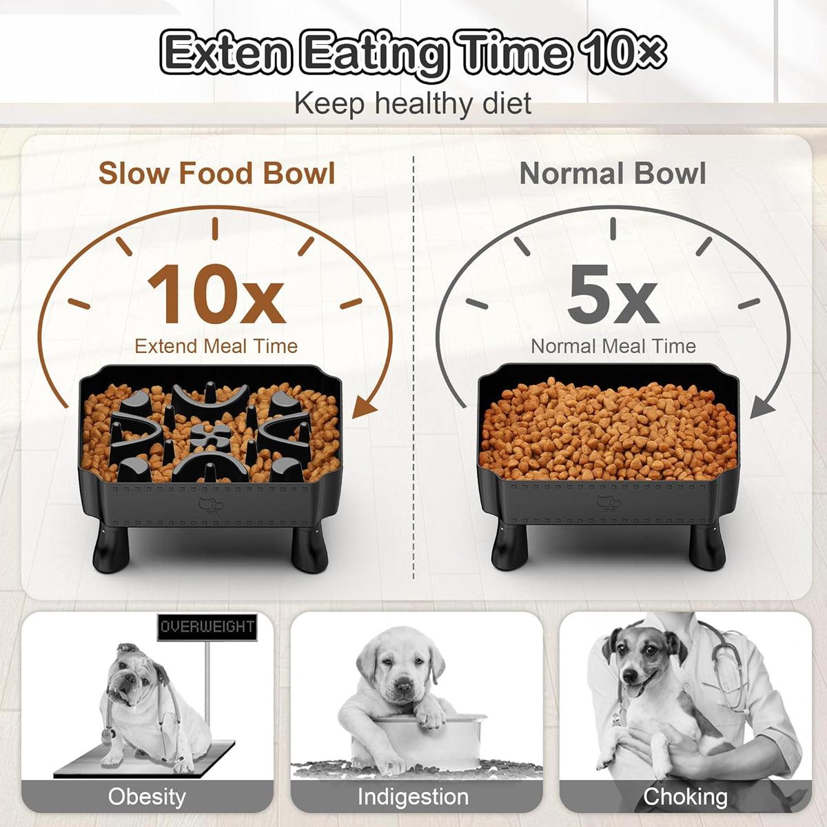 Elevated Slow Feeder Bowl for Pets Large Capacity & Anti-Slip Design