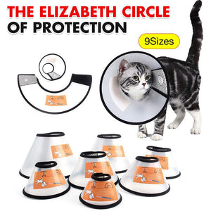 Lightweight and Protective Dog Cone Collar