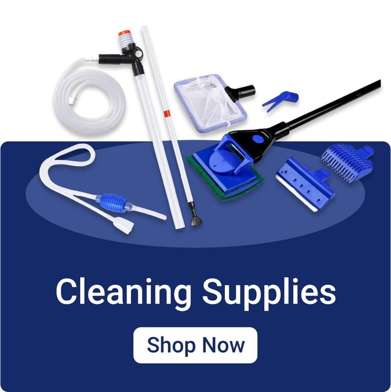 cleaning supplies