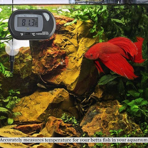 Aquarium LCD Digital Thermometer 2 Colours