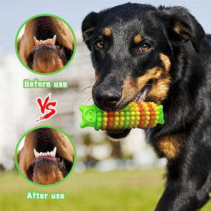 Durable Bear Head Dog Chew Toy for Dental Health & Play