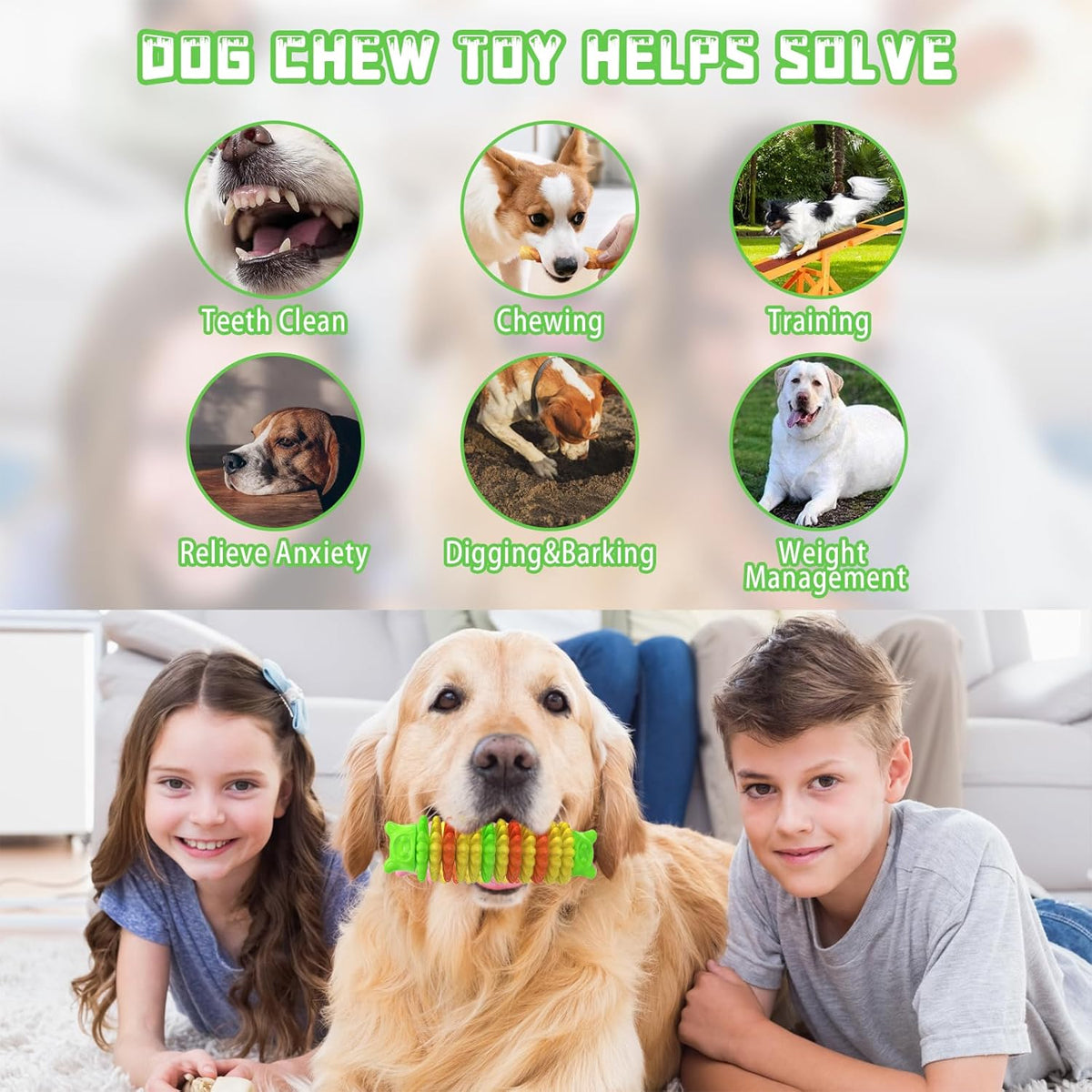 Durable Bear Head Dog Chew Toy for Dental Health & Play