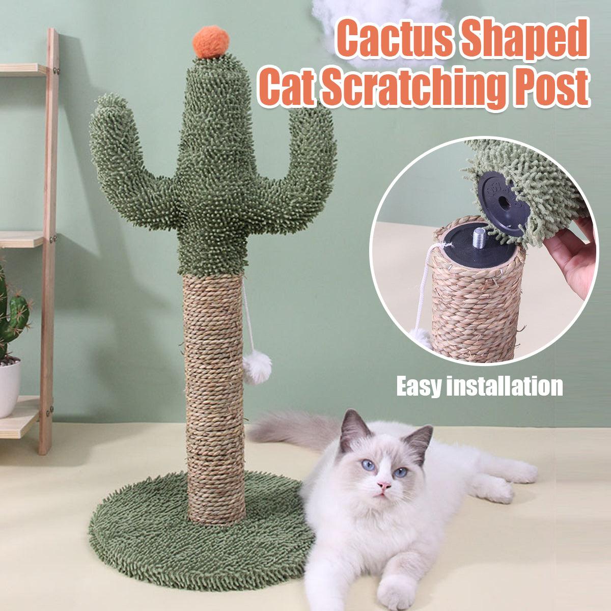 Cactus Cat Climbing Frame Scratching Post Interactive Toys for Cats and Kittens