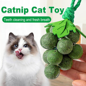 Catnip Cat Toy for Teeth Cleaning and Fresh Breath Grape Shape Toy