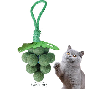 Catnip Cat Toy for Teeth Cleaning and Fresh Breath Grape Shape Toy