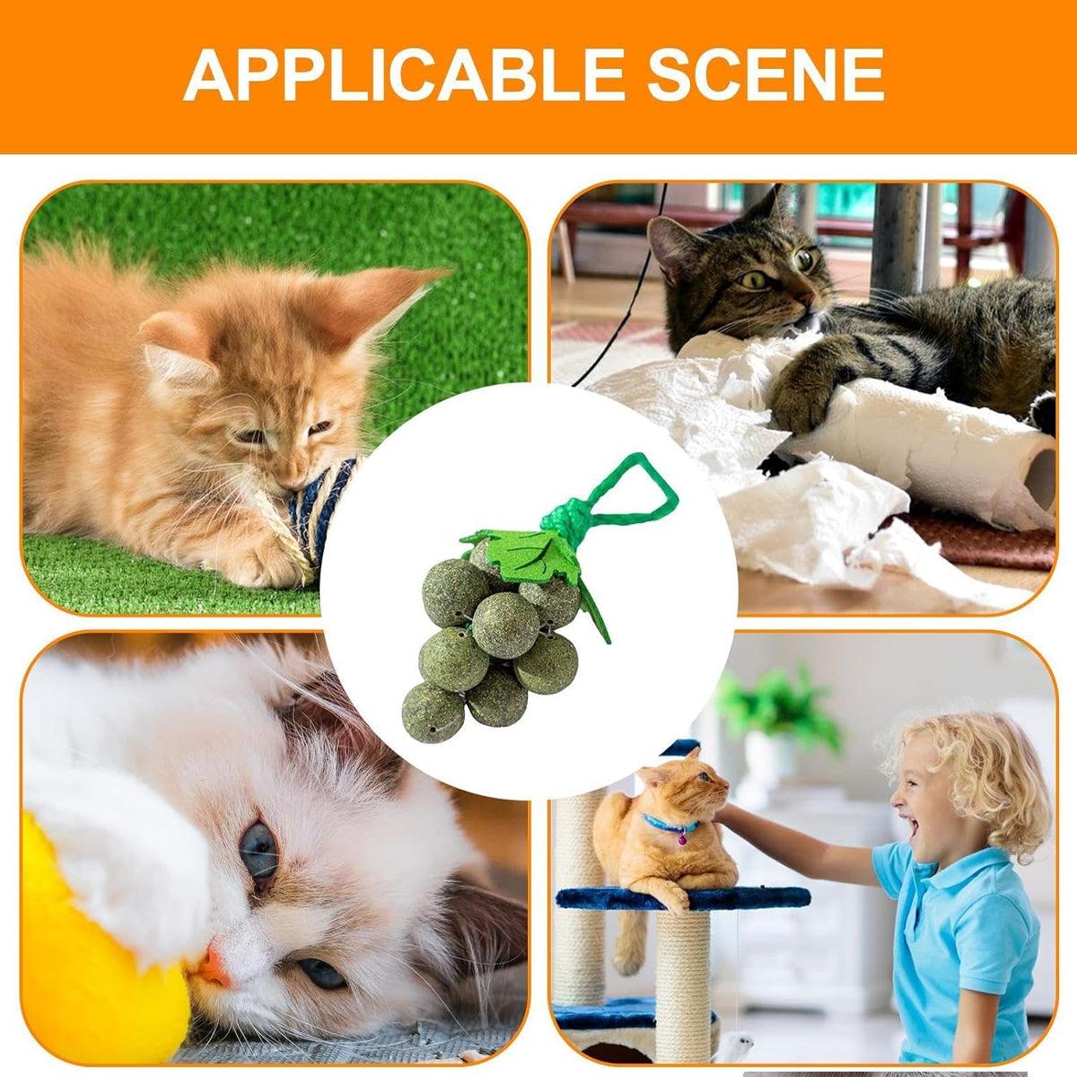 Catnip Cat Toy for Teeth Cleaning and Fresh Breath Grape Shape Toy