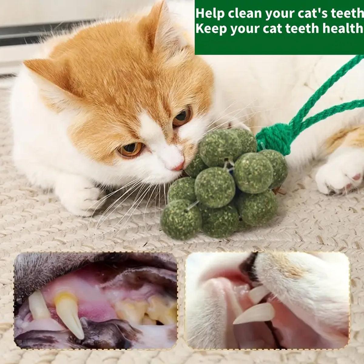 Catnip Cat Toy for Teeth Cleaning and Fresh Breath Grape Shape Toy