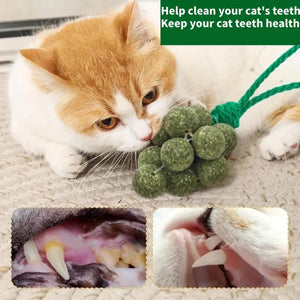 Catnip Cat Toy for Teeth Cleaning and Fresh Breath Grape Shape Toy