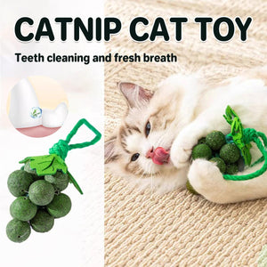 Catnip Cat Toy for Teeth Cleaning and Fresh Breath Grape Shape Toy