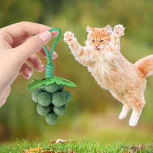 Catnip Cat Toy for Teeth Cleaning and Fresh Breath Grape Shape Toy