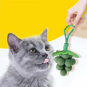 Catnip Cat Toy for Teeth Cleaning and Fresh Breath Grape Shape Toy