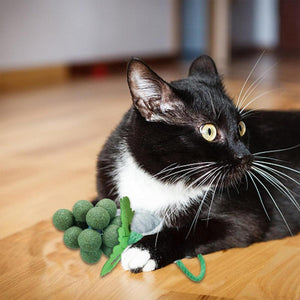 Catnip Cat Toy for Teeth Cleaning and Fresh Breath Grape Shape Toy