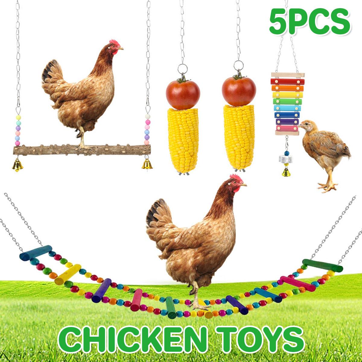 5PCS Chicken Toys Set Swing Ladder Xylophone & Hanging Feeder