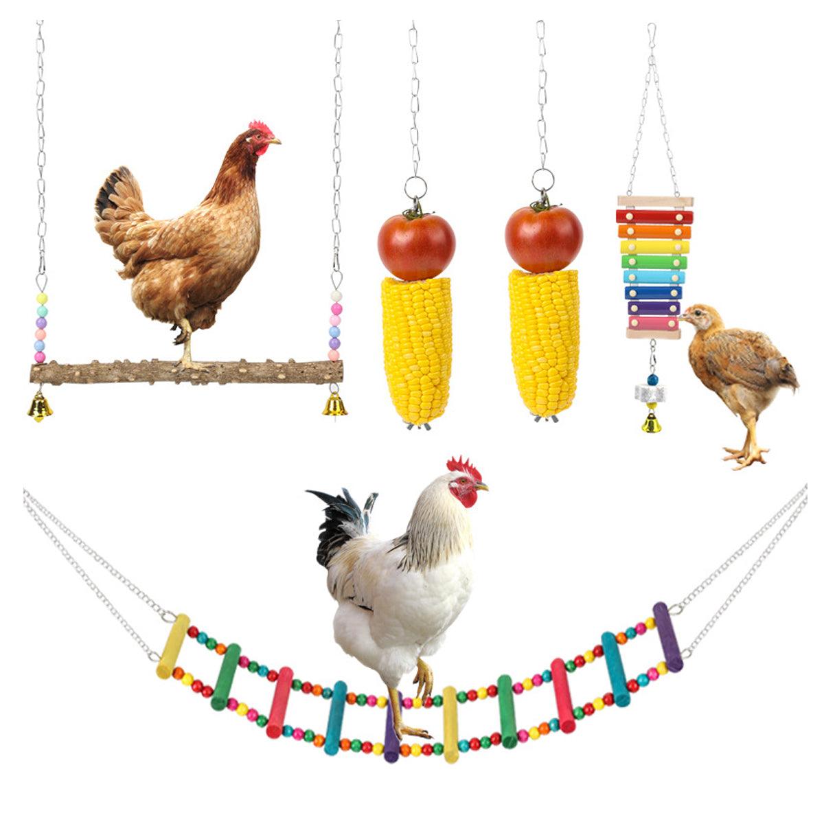 5PCS Chicken Toys Set Swing Ladder Xylophone & Hanging Feeder