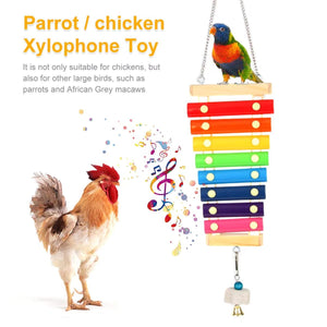 5PCS Chicken Toys Set Swing Ladder Xylophone & Hanging Feeder