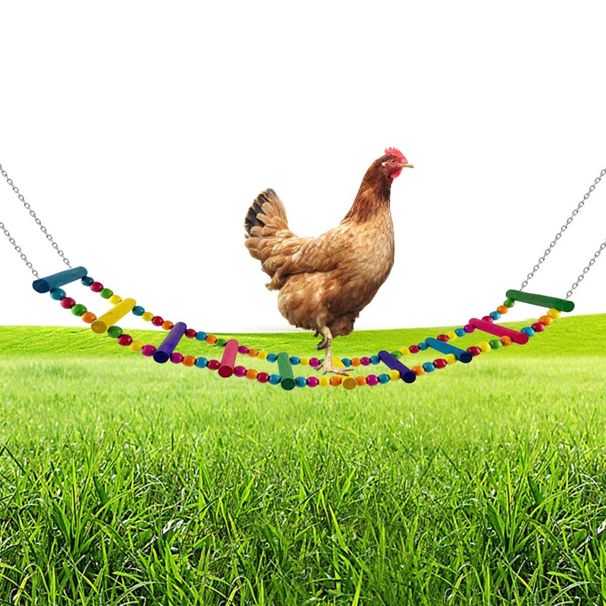 5PCS Chicken Toys Set Swing Ladder Xylophone & Hanging Feeder