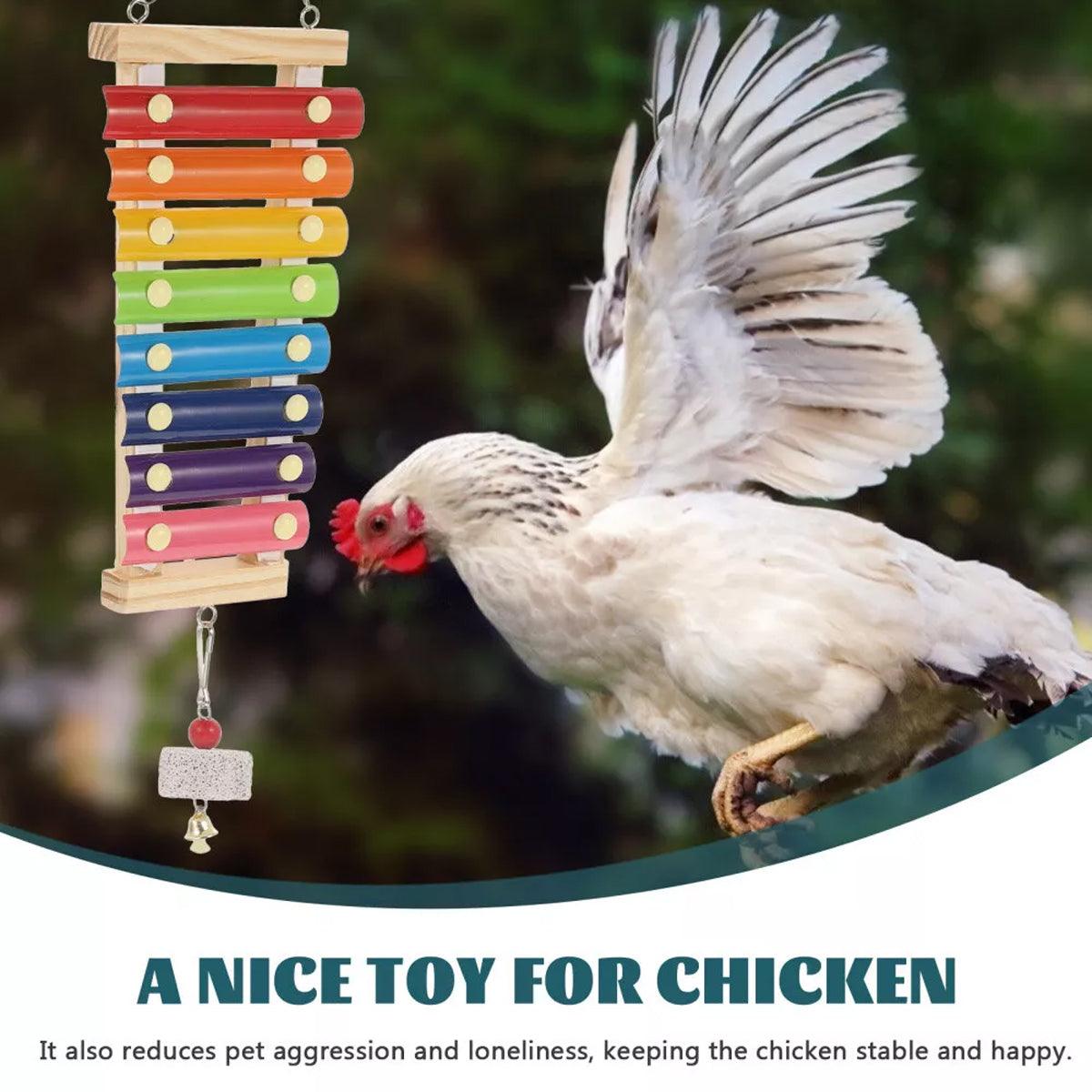 5PCS Chicken Toys Set Swing Ladder Xylophone & Hanging Feeder