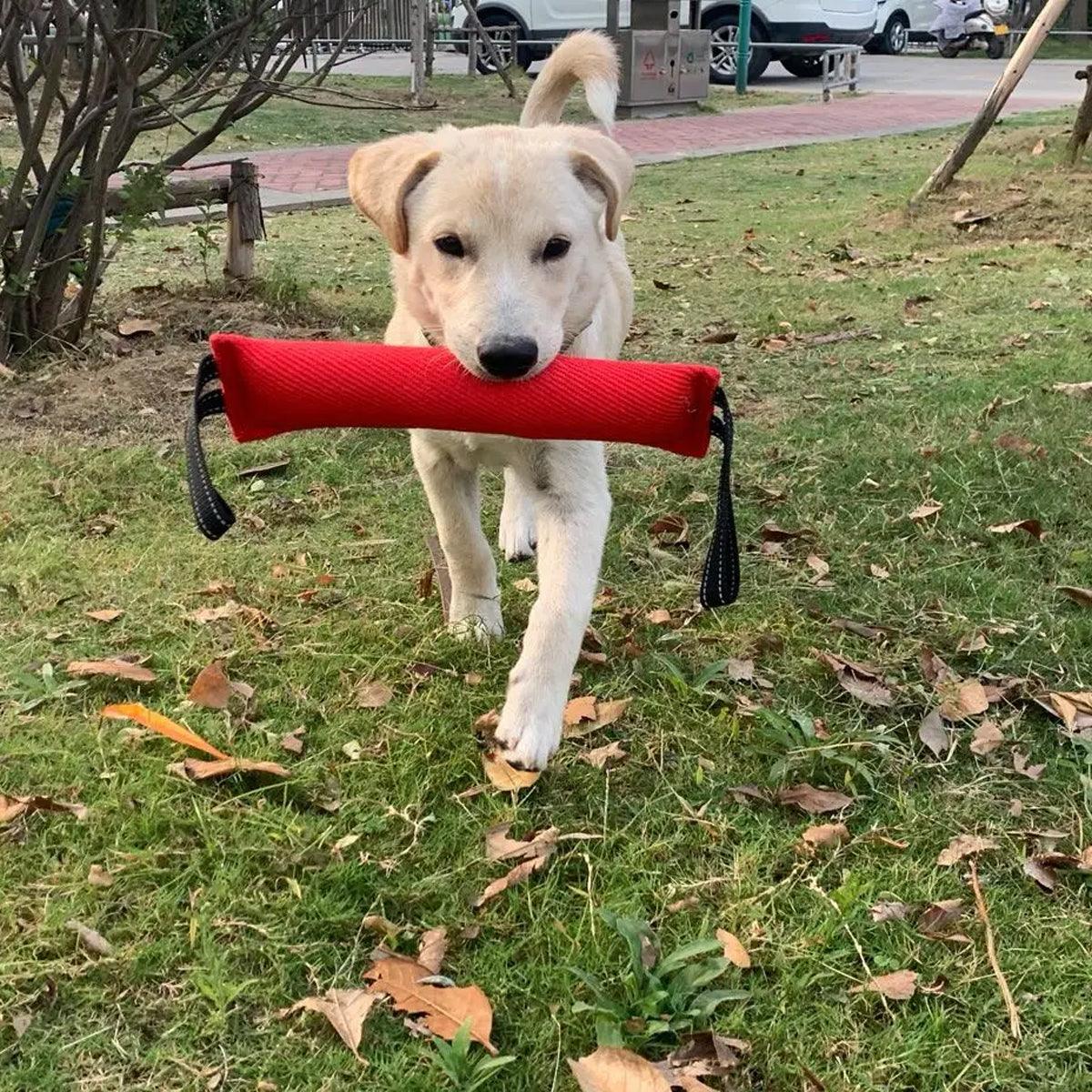 Durable Dog Bite Stick Training & Tug Toy for Dogs