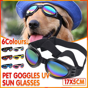 Protection Pet Dog Goggles