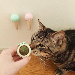 Ice Cream Catnip Ball Toy for Cats Fun and Interactive Playtime